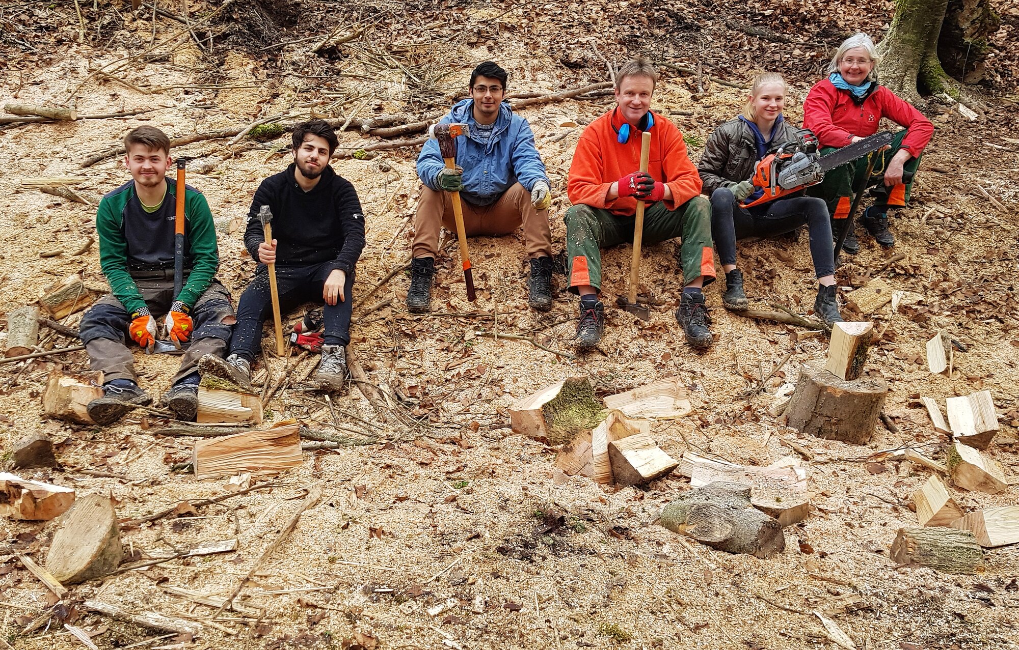 Personengruppe sitzt mit Arbeitsgeräten in frisch abgeholztem Waldstück