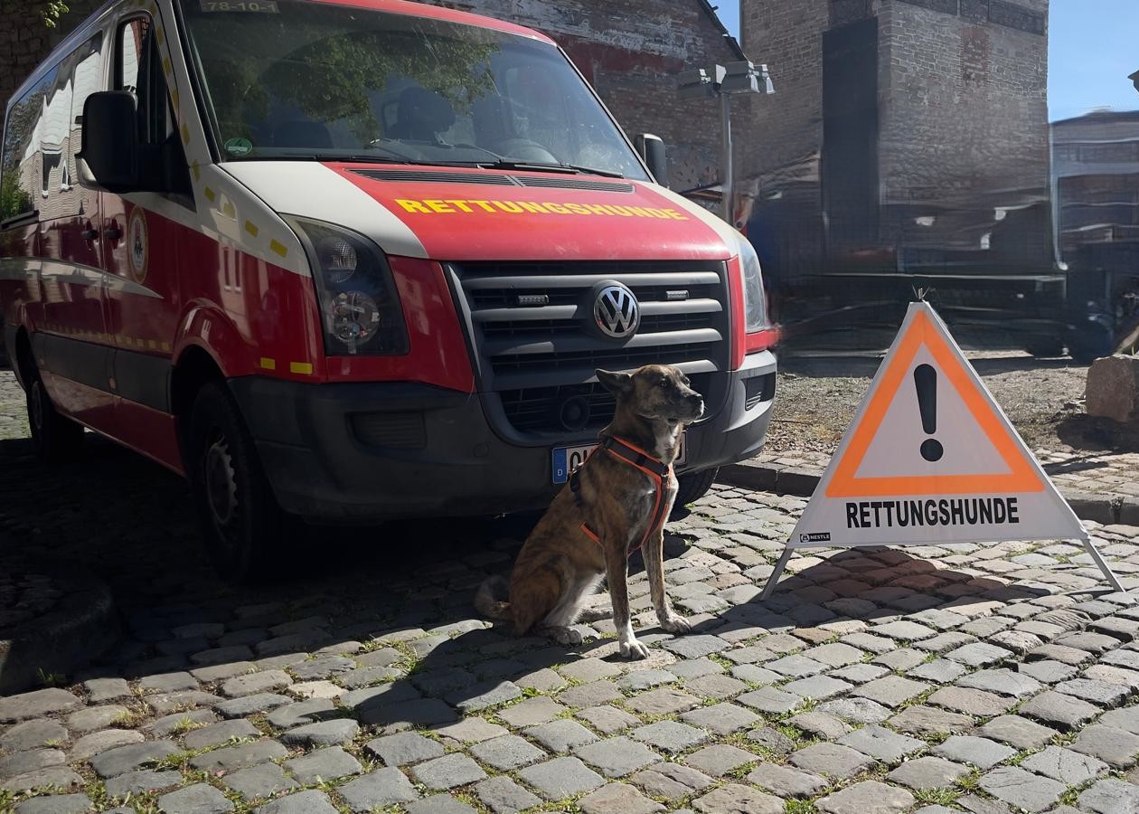 Das Bild zeigt einen Hund vor einem Rettungshundetransporter. 