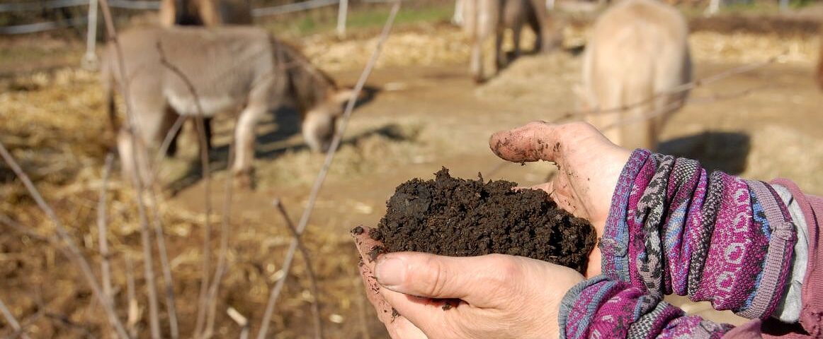 Das Bild zeigt Humuserde in Händen, im Hintergrund Tiere. 