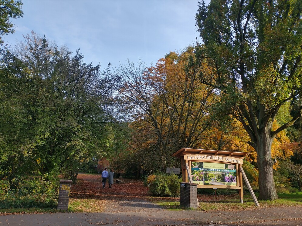 DAs Bild zeigt eine große Informationstafel und daneben der Hauptweg zwischen großen Bäumen.