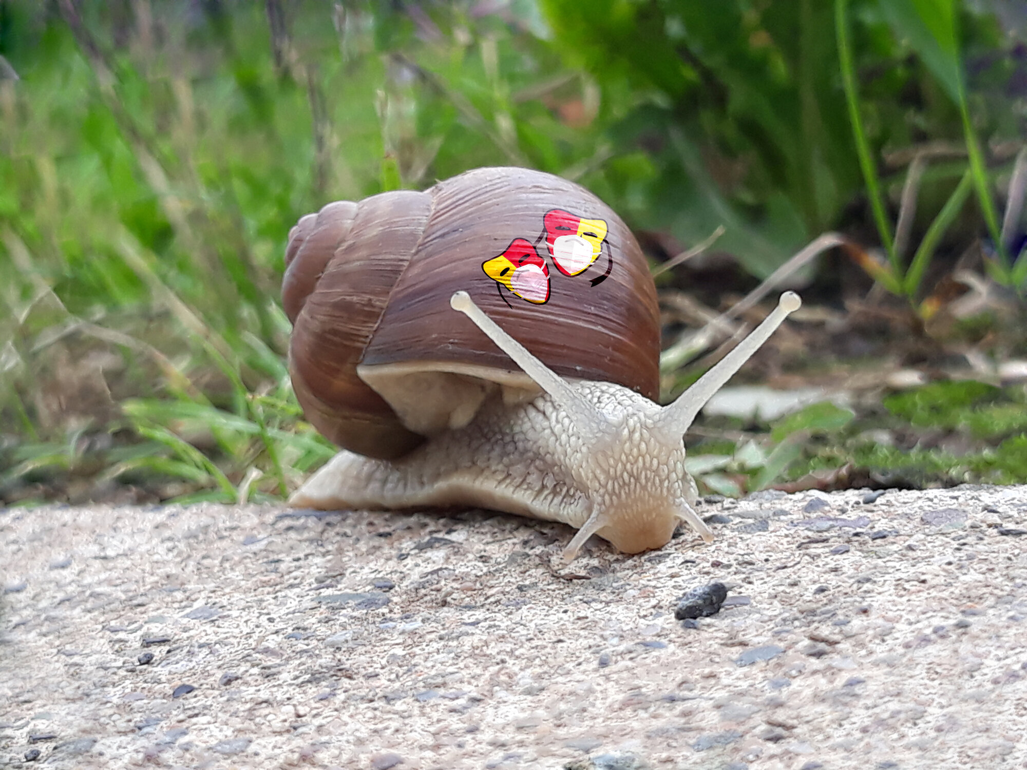 Schnecke mit Logo der Laienspielgruppe auf dem Haus