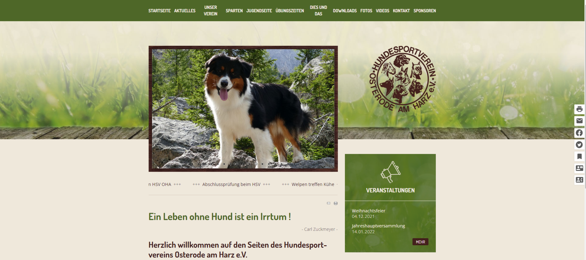 Screenshot der Webseite des Hundesportvereins