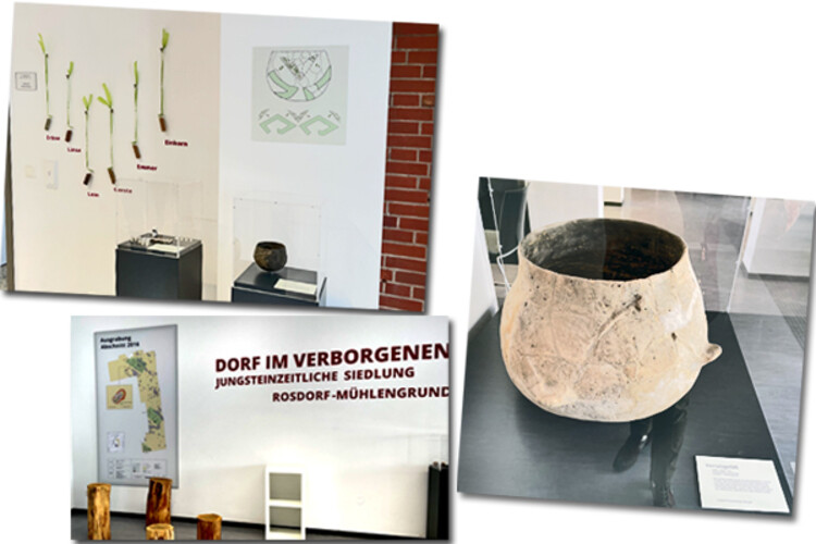 Collage mit Gegenständen und Schaubildern der Ausstellung zum Neolithikum im Familienzentrum