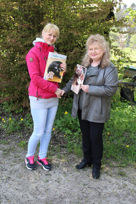 2 Frauen geben sich die Hand und halten Katzenmagazine
