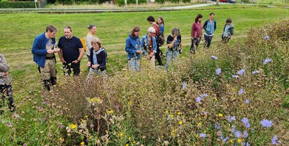 BUND-Insekten-Schulung 2025 in Bovenden