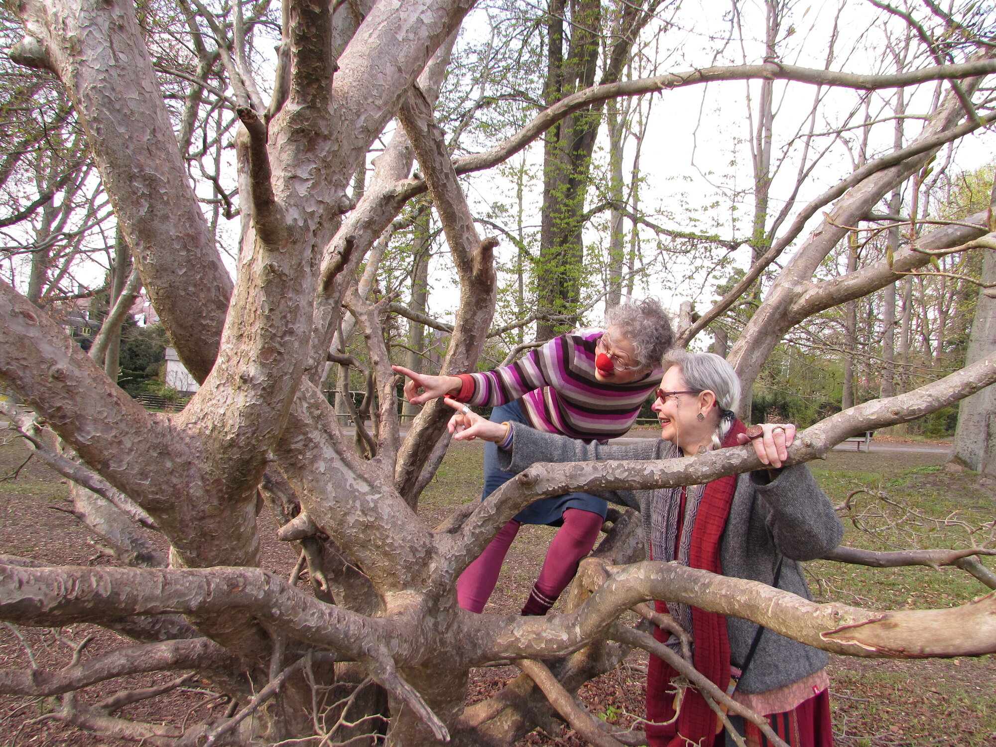 Zwei Clowninnen stehen zeigend in und an einem Baum.