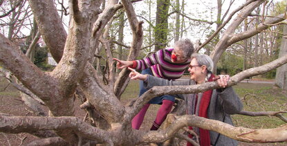 Zwei Clowns im Baum